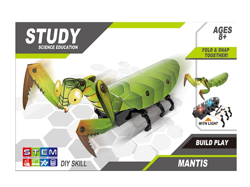 DIY Crawling Mantis