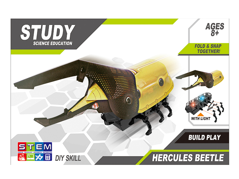 DIY Crawling Beetle