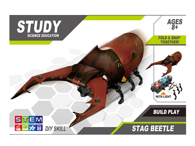 DIY Crawling Beetle