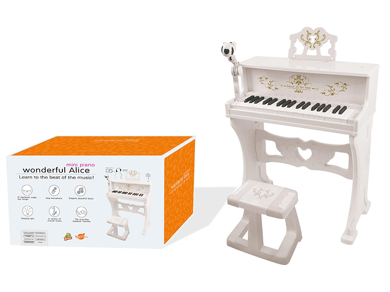Electronic  Organ