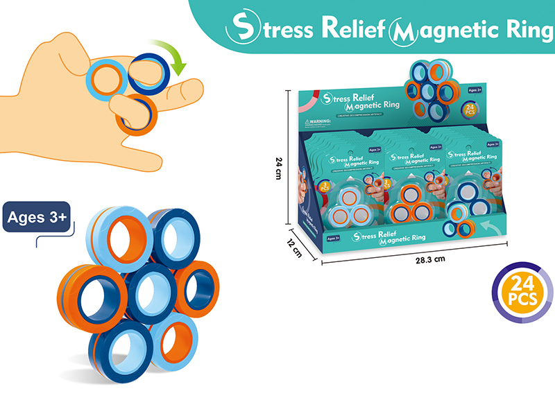 Magnetic Ring