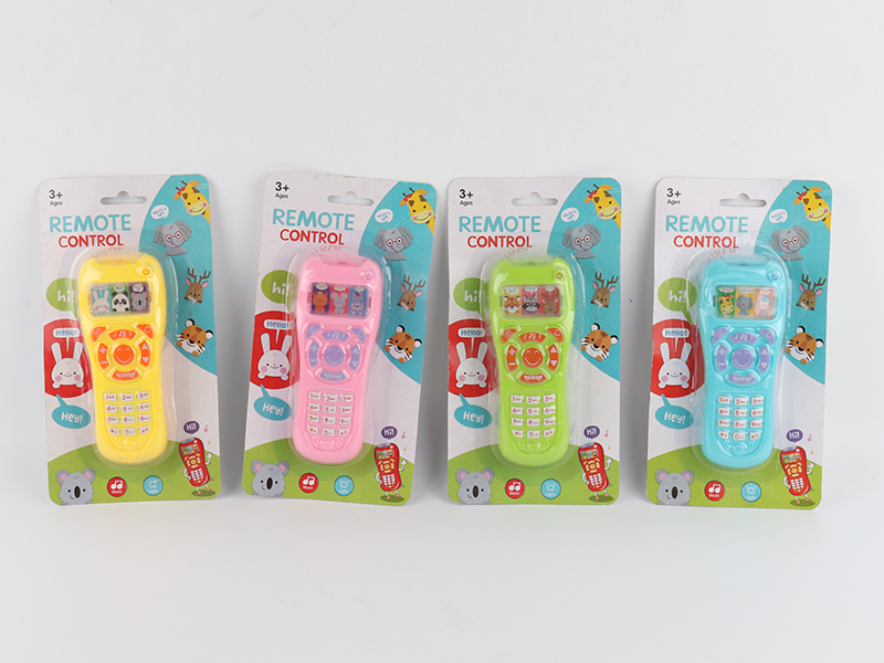 Remote Controller