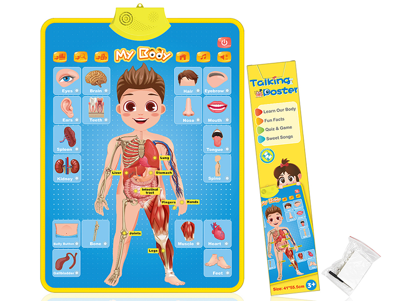 Body Constitution Learning Wall Chart