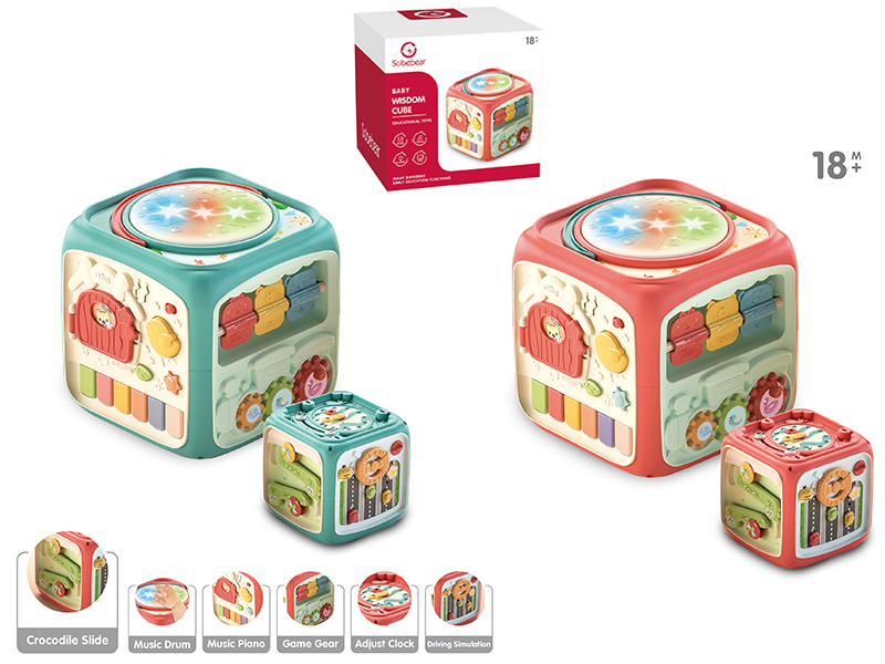 Baby Wisdom Cube