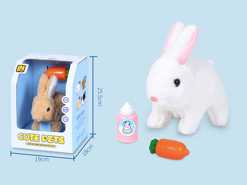B/O Pet Rabbit