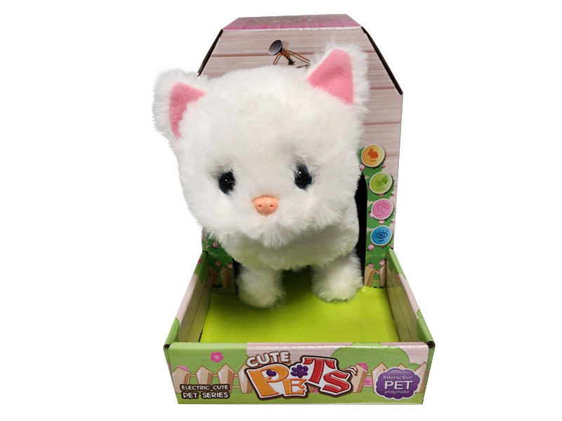 B/O Pet Cat