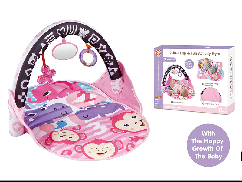 2 In 1  Play Mat
