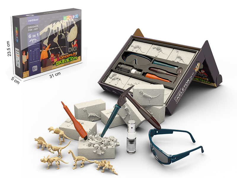 6 In 1 Dinosaur Skeleton Dig Kit