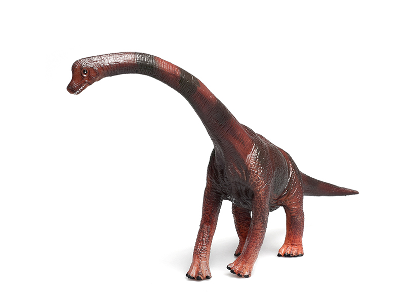 Brachiosaurus (Solid Dinosaur Model)