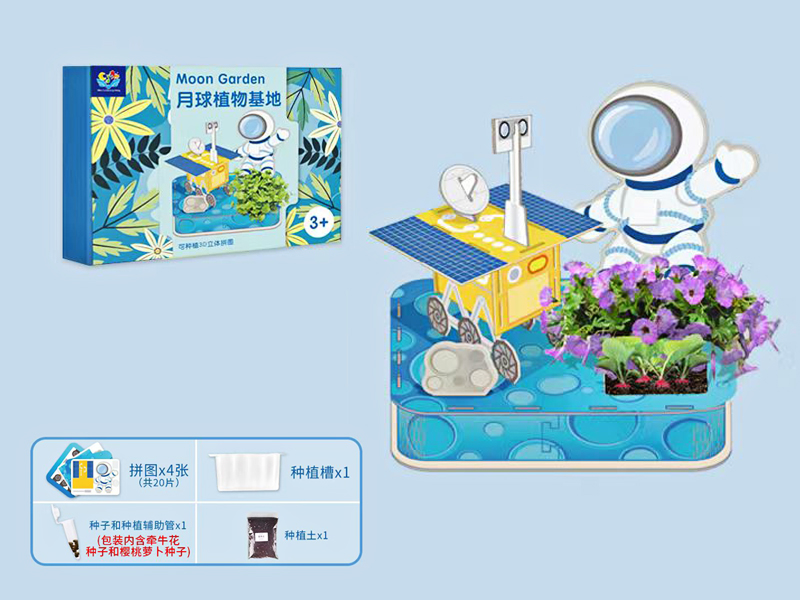 Space Garden Puzzle