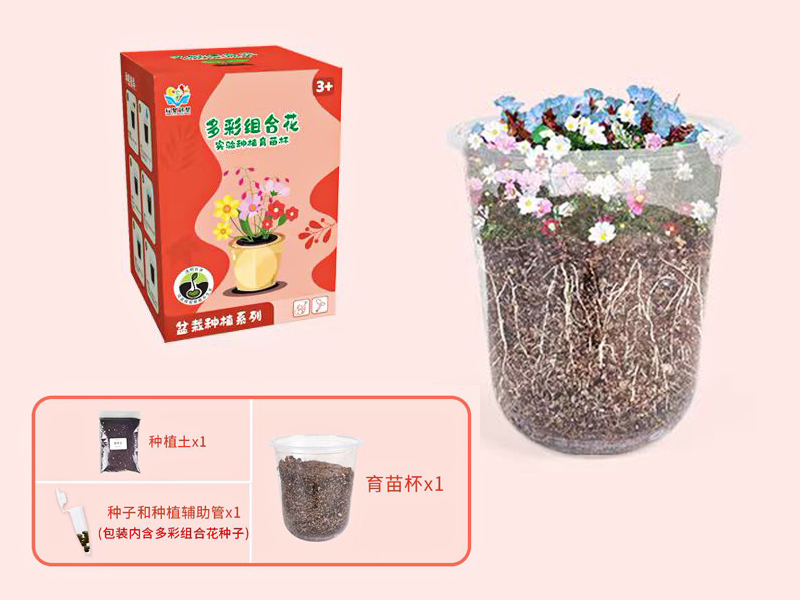 Colorful Combination Flower Seedling Cup