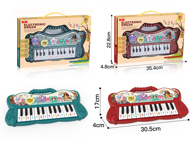Electronic Organ