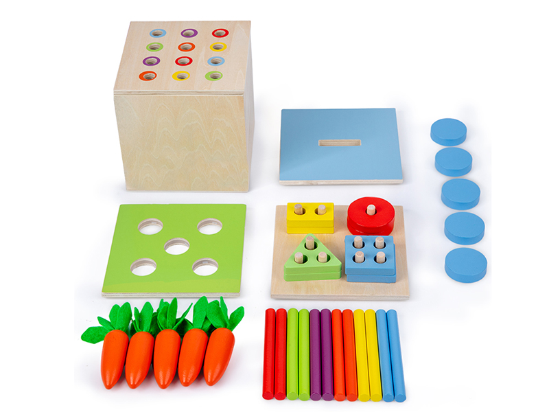 Wooden Montessori 4 In 1 Intelligence Box
