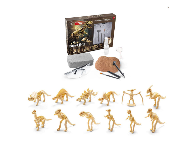 Static Educational Toys