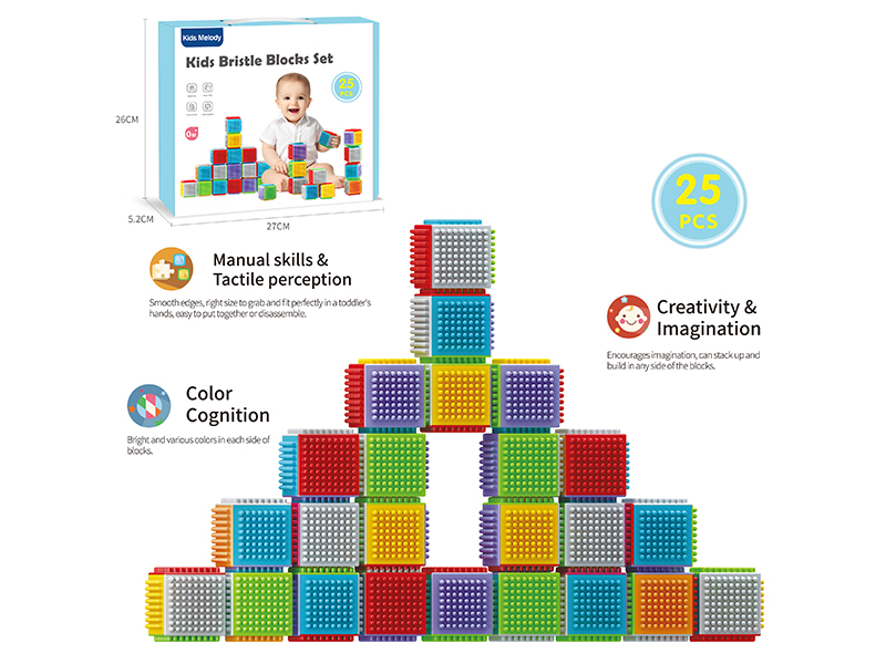 Kids Bristle Blocks Set 25PCS