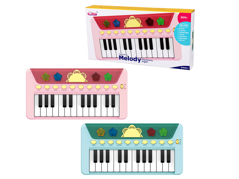 Electronic Organ