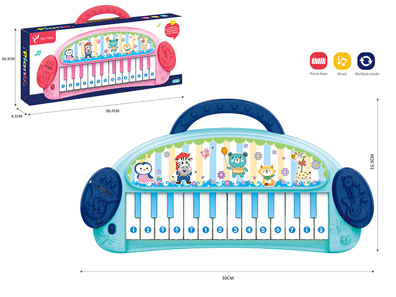 Electronic Organ
