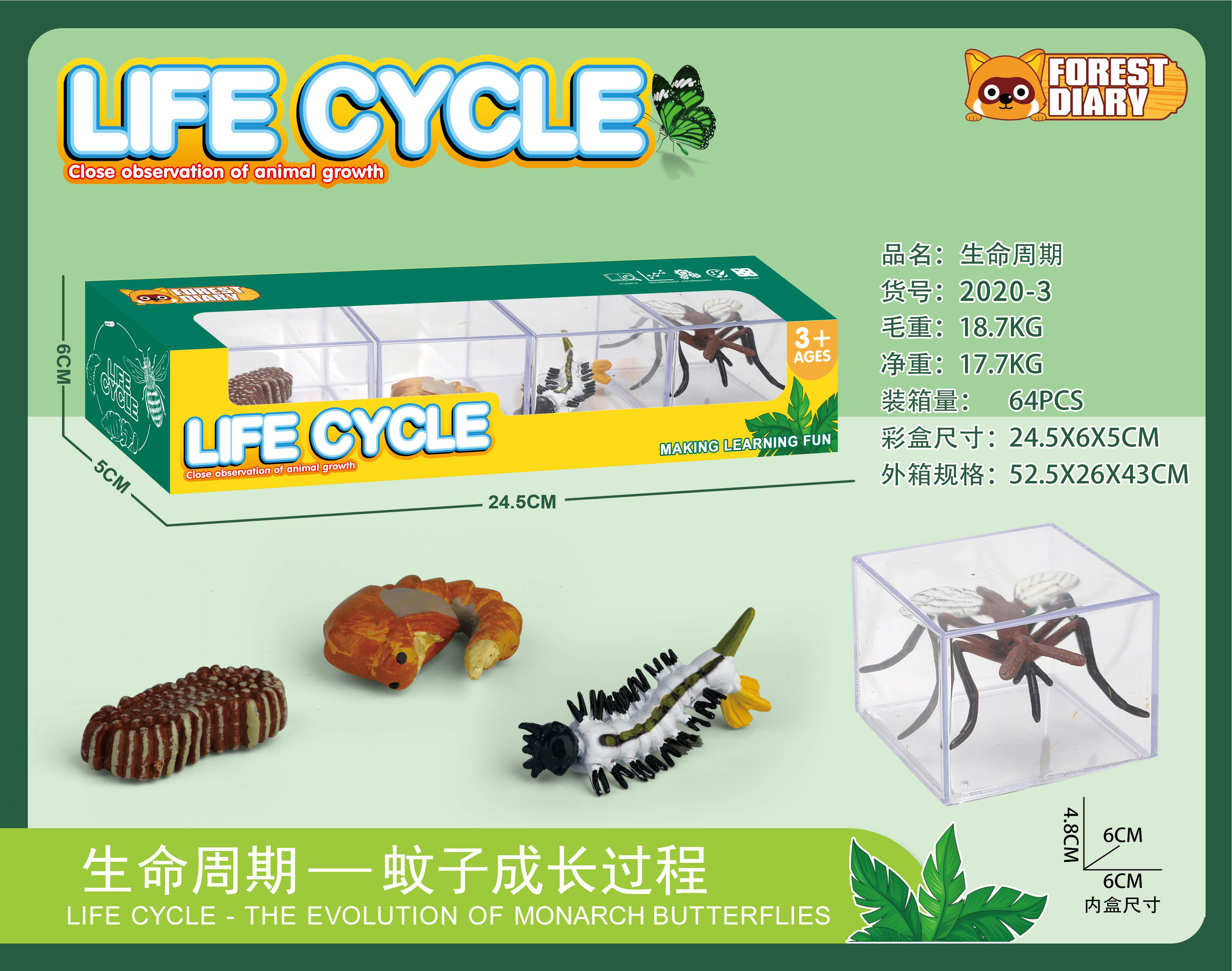 Life Cycle - The Evolution Of Mosquito