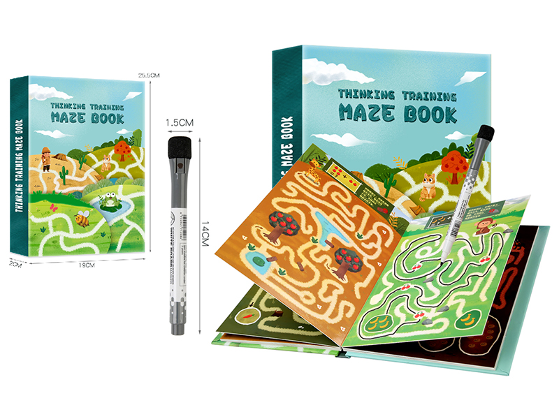 Thinking Training Maze Book