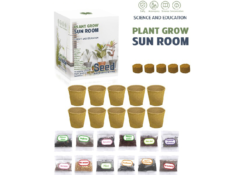 Plant Grow Sun Room