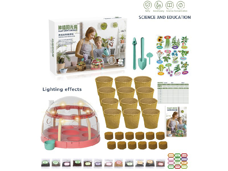 Plant Grow Sun Room