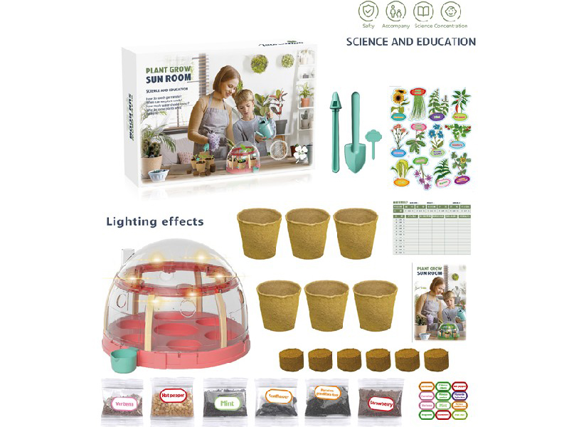 Plant Grow Sun Room
