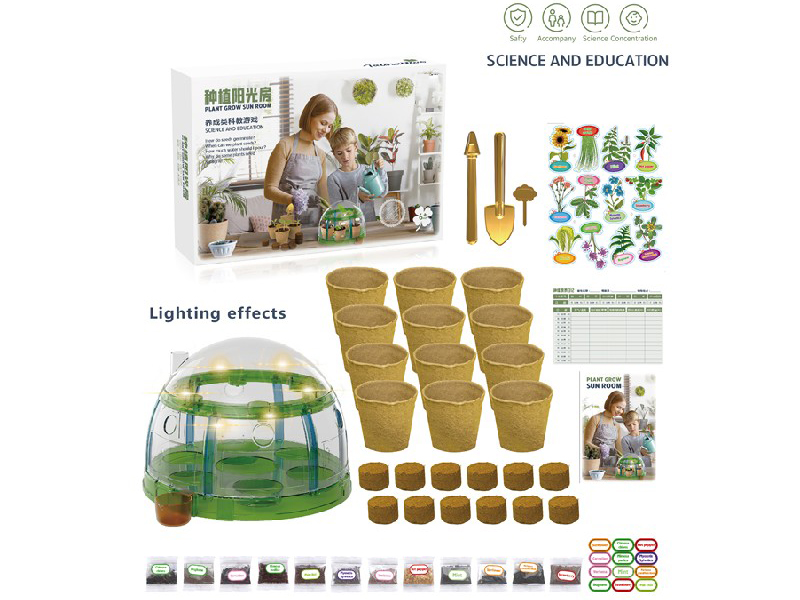 Plant Grow Sun Room