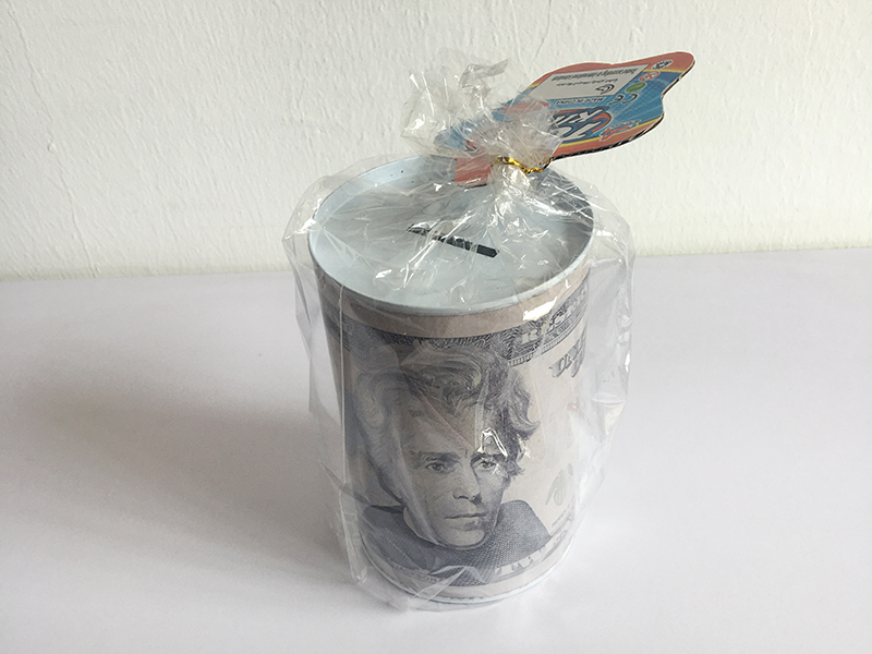 Iron Piggy Bank