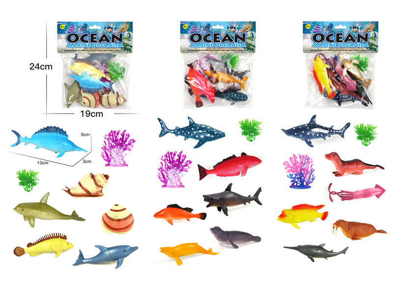 Ocean Animal