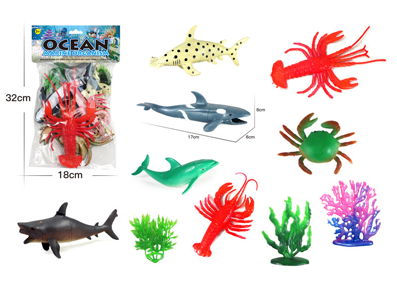 Ocean Animal