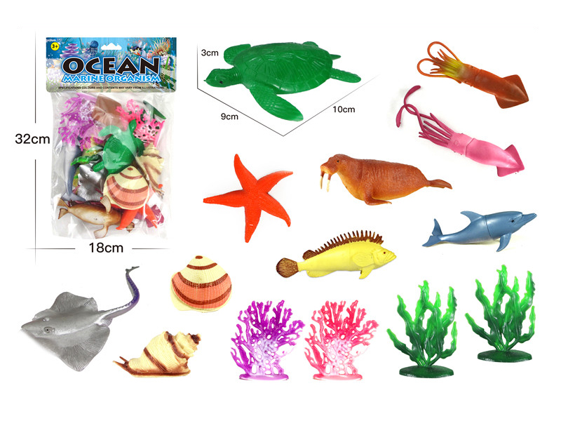 Ocean Animal