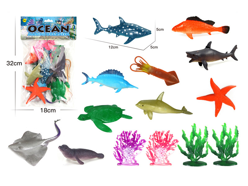 Ocean Animal
