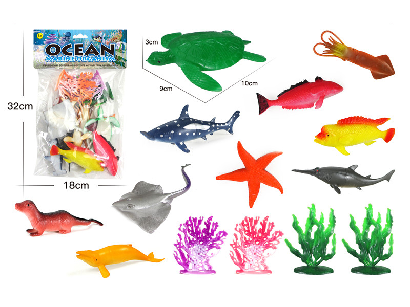 Ocean Animal