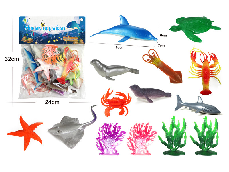 Ocean Animal