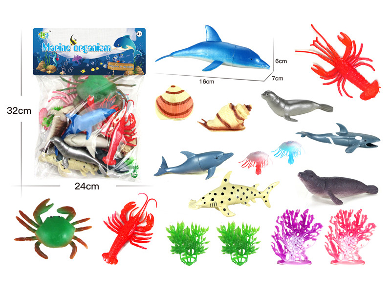 Ocean Animal