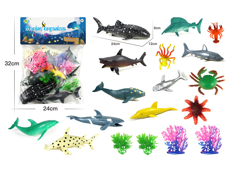 Ocean Animal