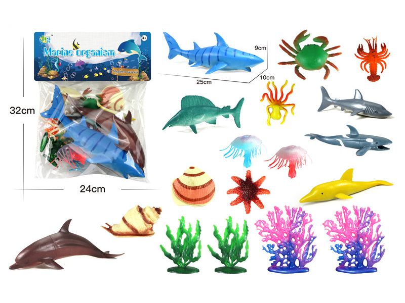 Ocean Animal