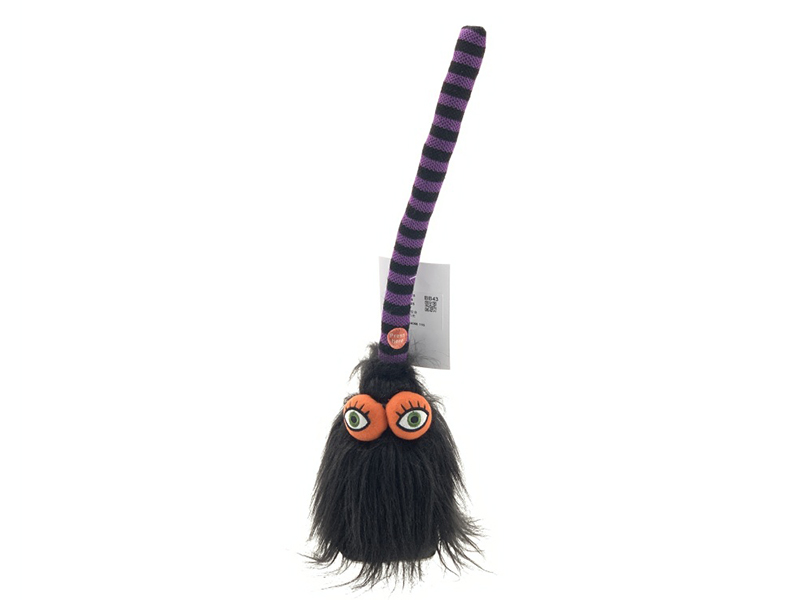 Singing And Walking Broom