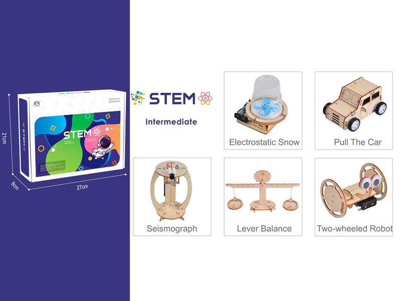 Intermediate Science Physics Experiment Set (Wooden Assembled)