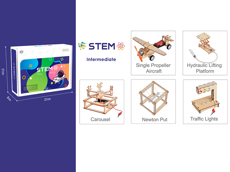 Intermediate Science Physics Experiment Set (Wooden Assembled)