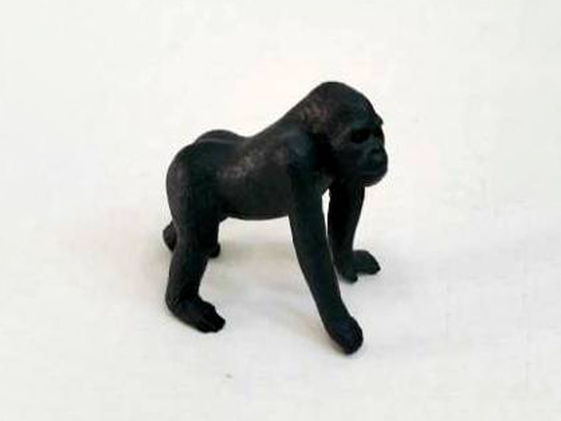Chimpanzee