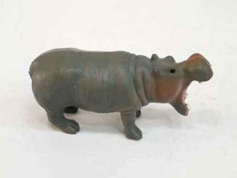 Hippo