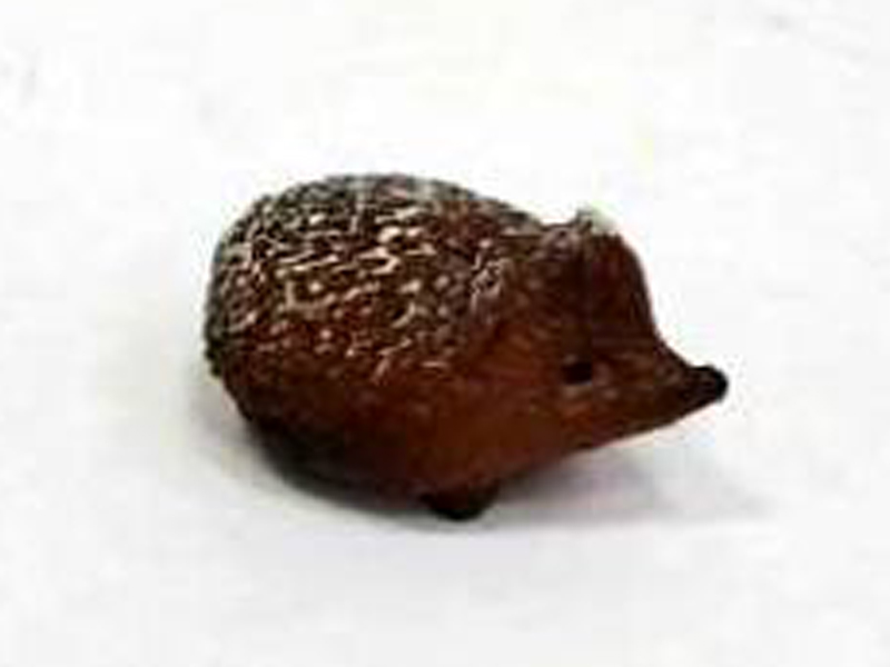 Little Hedgehog