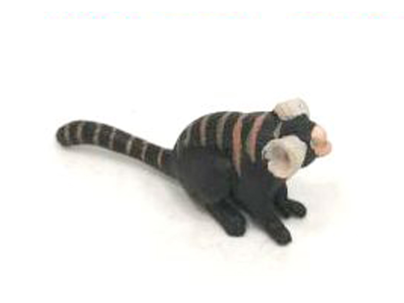 Marmoset