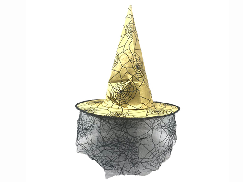 Witch Hat With Veil