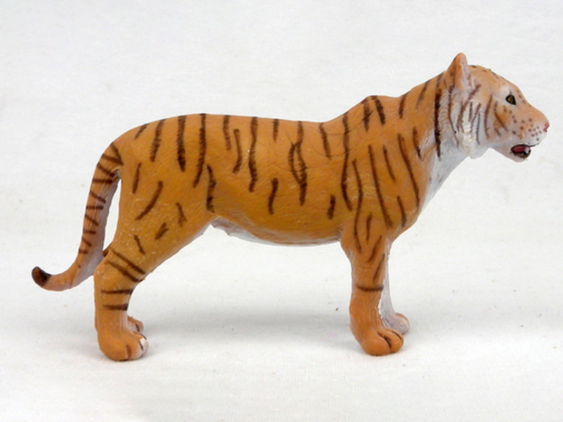 Red Female Tiger