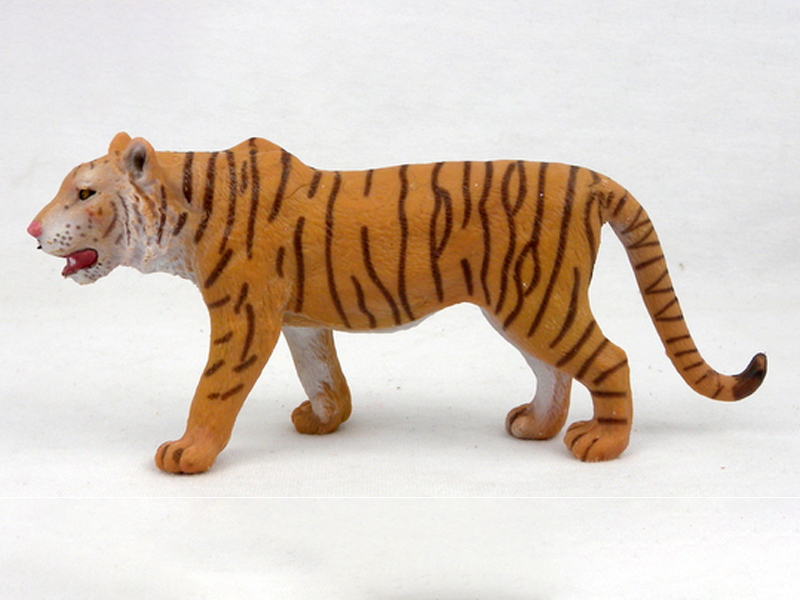 Red Male Tiger
