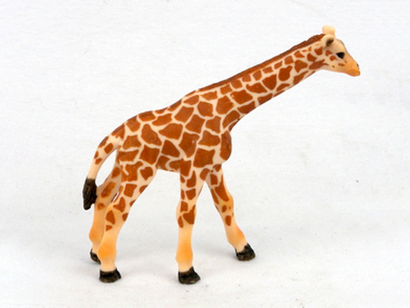 Little Giraffe