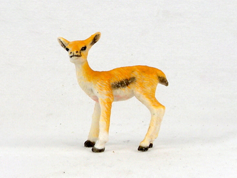 Antelope