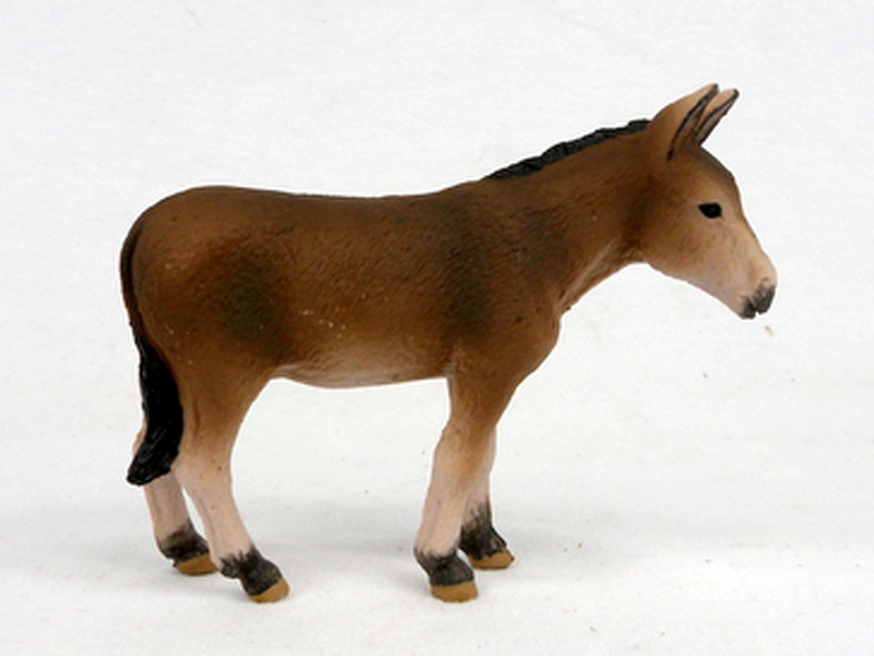 Big Donkey